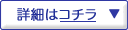 �ڍׂ̓R�`��